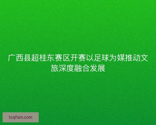 广西县超桂东赛区开赛以足球为媒推动文旅深度融合发展